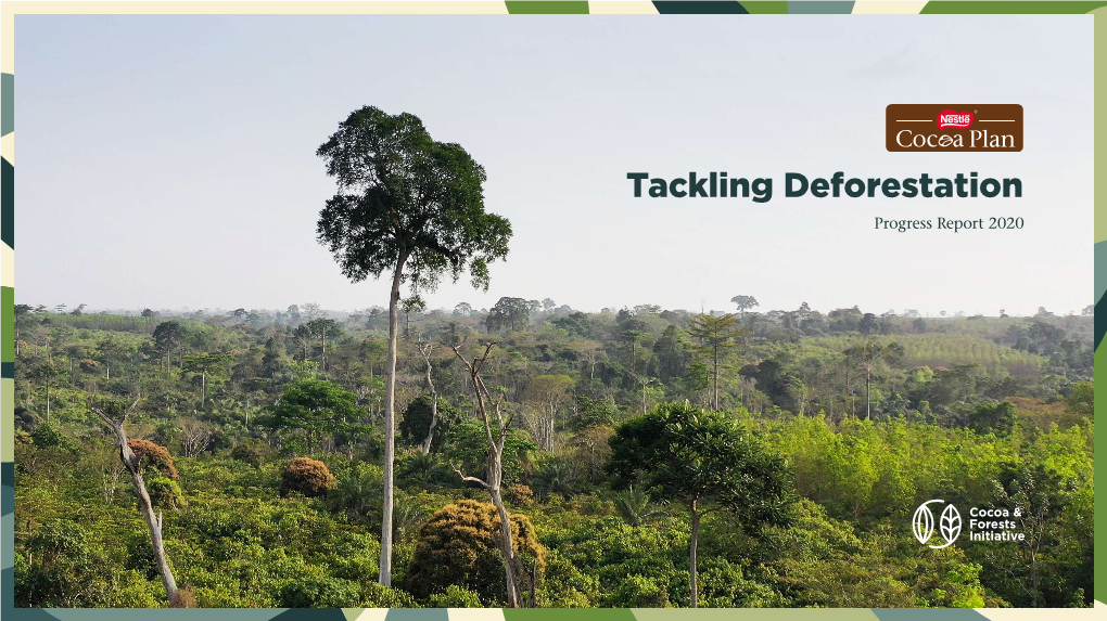 Tackling Deforestation Progress Report 2020 Contents