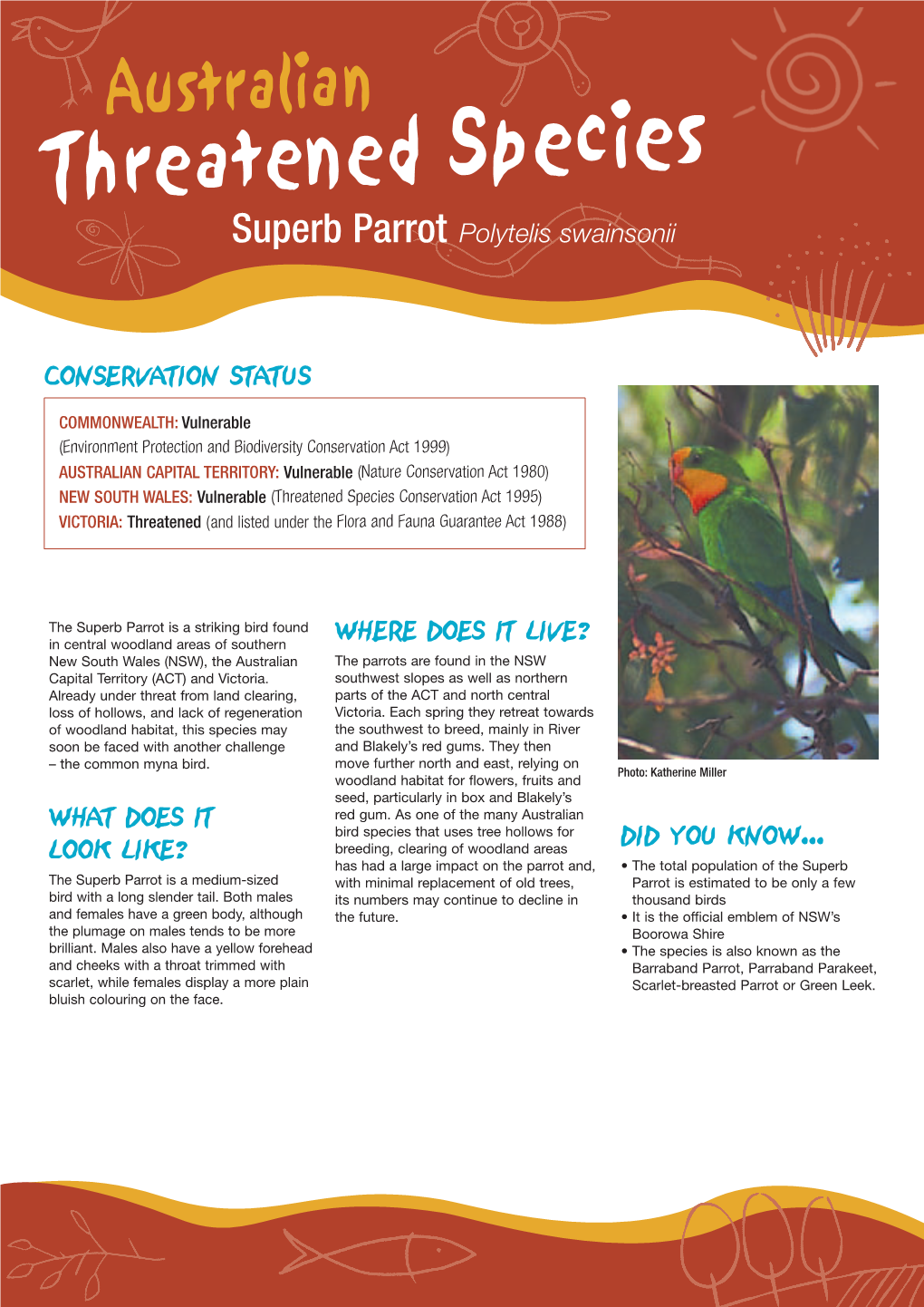 Species Threatenedsuperb Parrot Polytelis Swainsonii