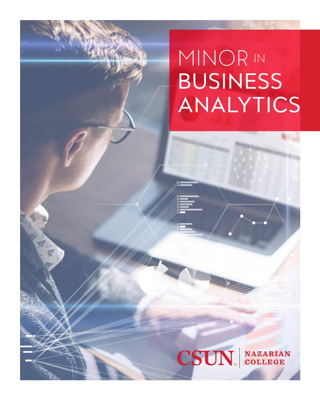 Minor in Business Analytics