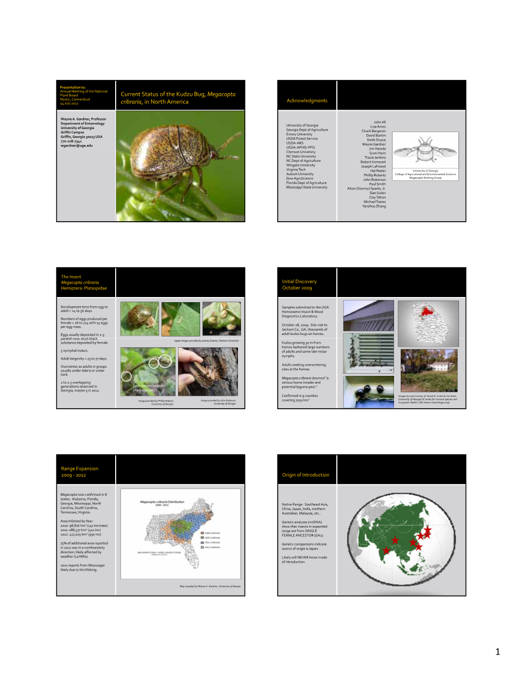 Current Status of the Kudzu Bug, Megacopta Cribraria, in North America