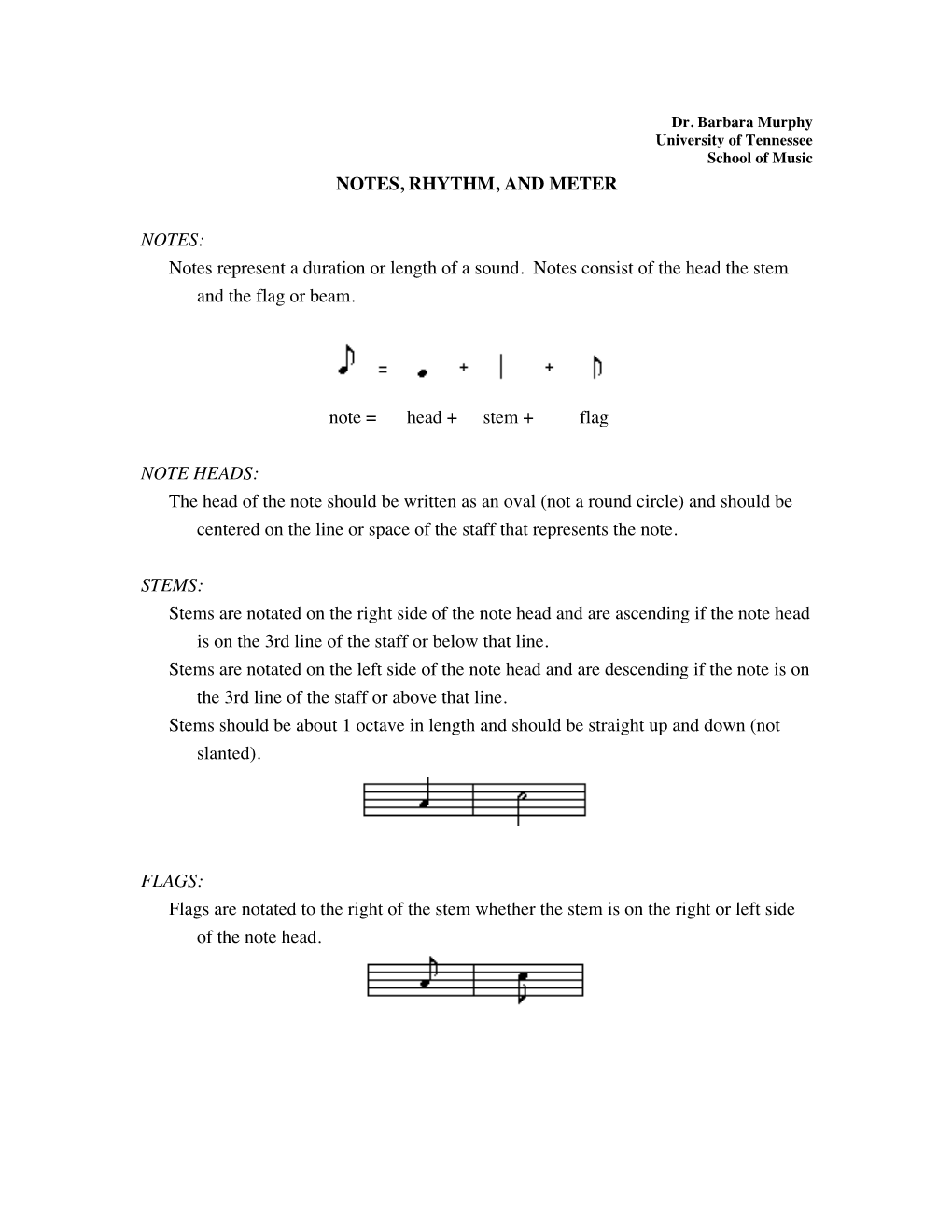 Notes, Rhythm, and Meter Notes