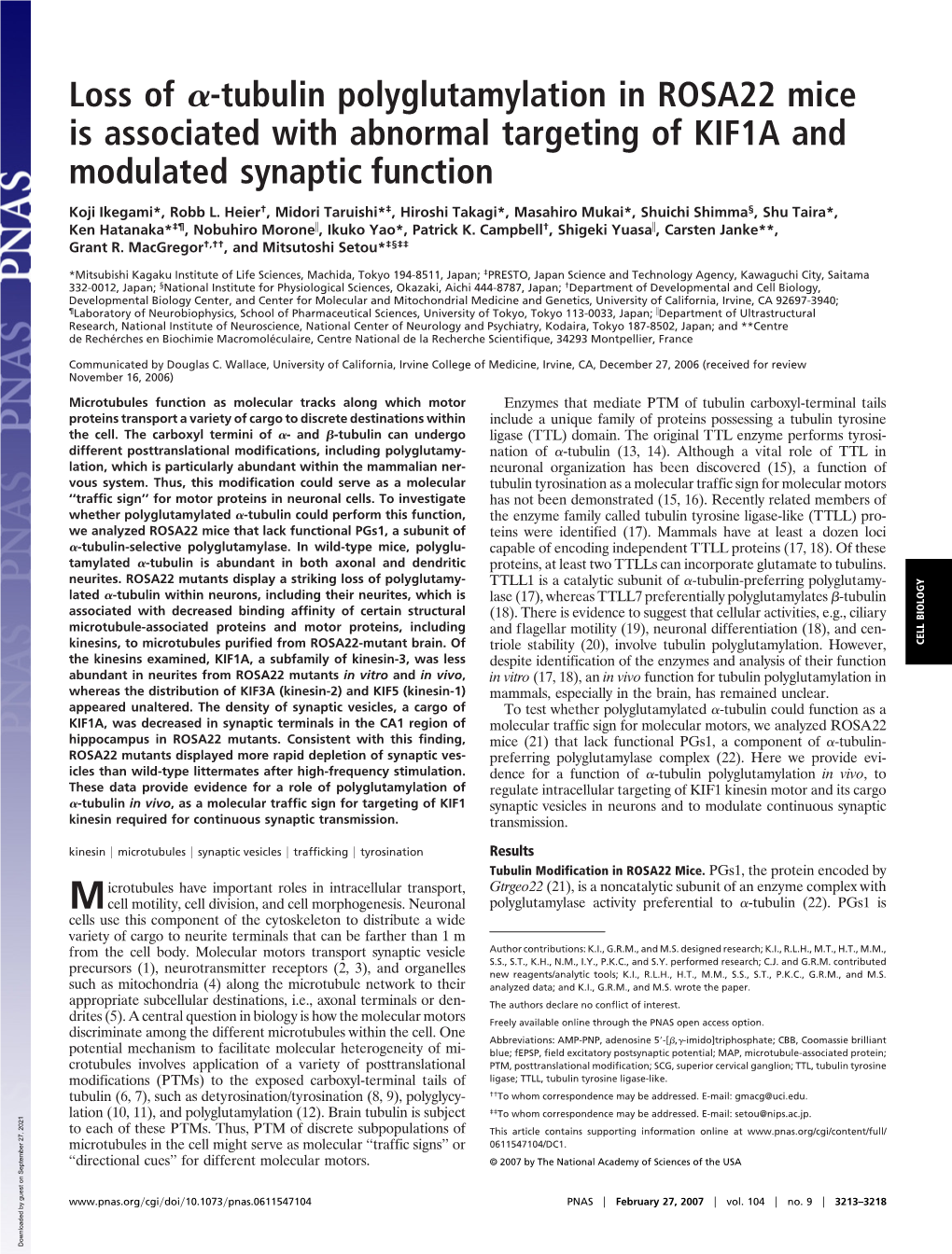 Tubulin Polyglutamylation in ROSA22 Mice Is Associated with Abnormal Targeting of KIF1A and Modulated Synaptic Function