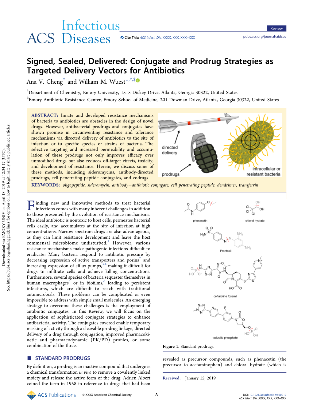 Conjugate and Prodrug Strategies As Targeted Delivery Vectors for Antibiotics † † ‡ Ana V