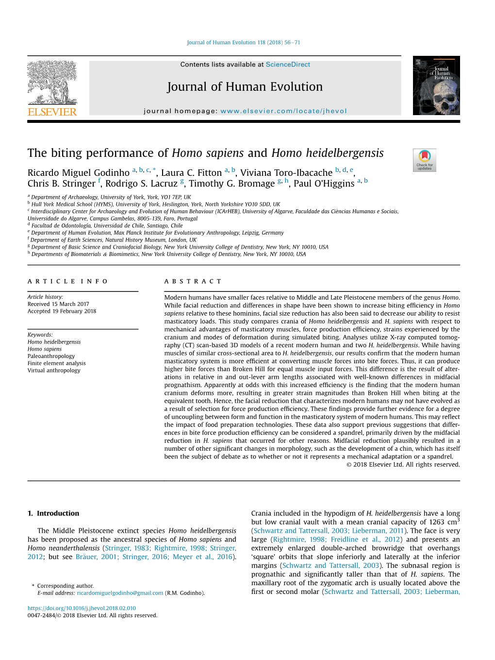 The Biting Performance of Homo Sapiens and Homo Heidelbergensis