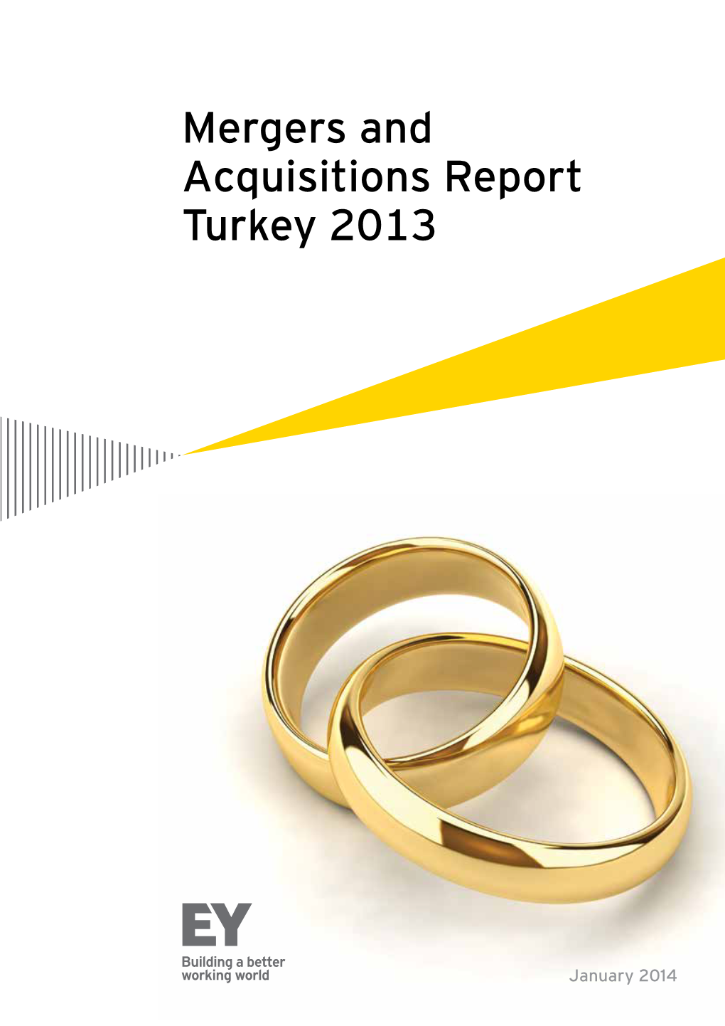 Mergers and Acquisitions Report Turkey 2013