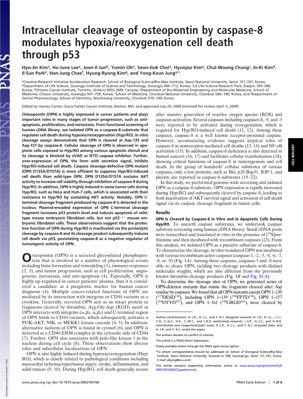 Intracellular Cleavage of Osteopontin by Caspase-8 Modulates Hypoxia/Reoxygenation Cell Death Through P53