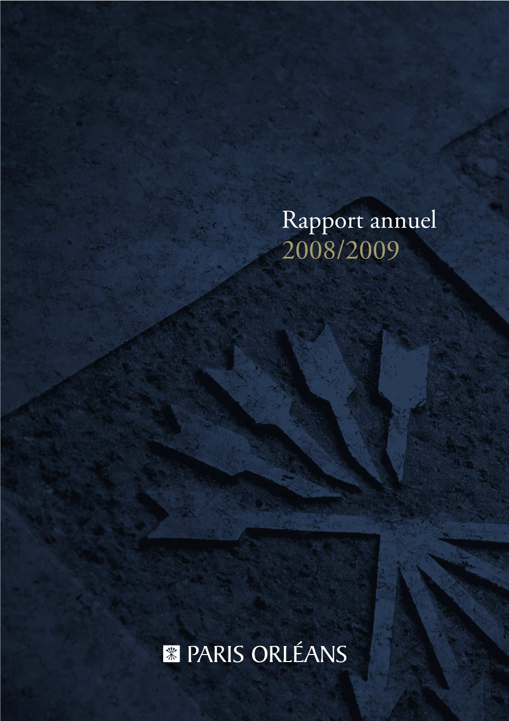 Rapport Annuel 2008/2009
