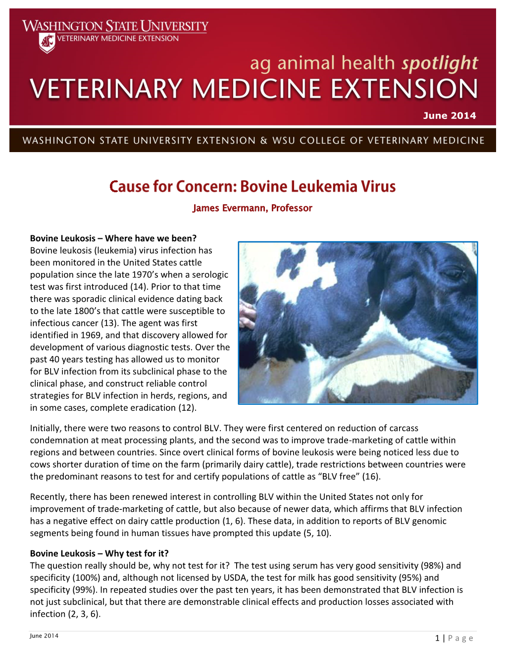 Bovine Leukemia Virus (BLV) Infection (Cumulative Percentages*)