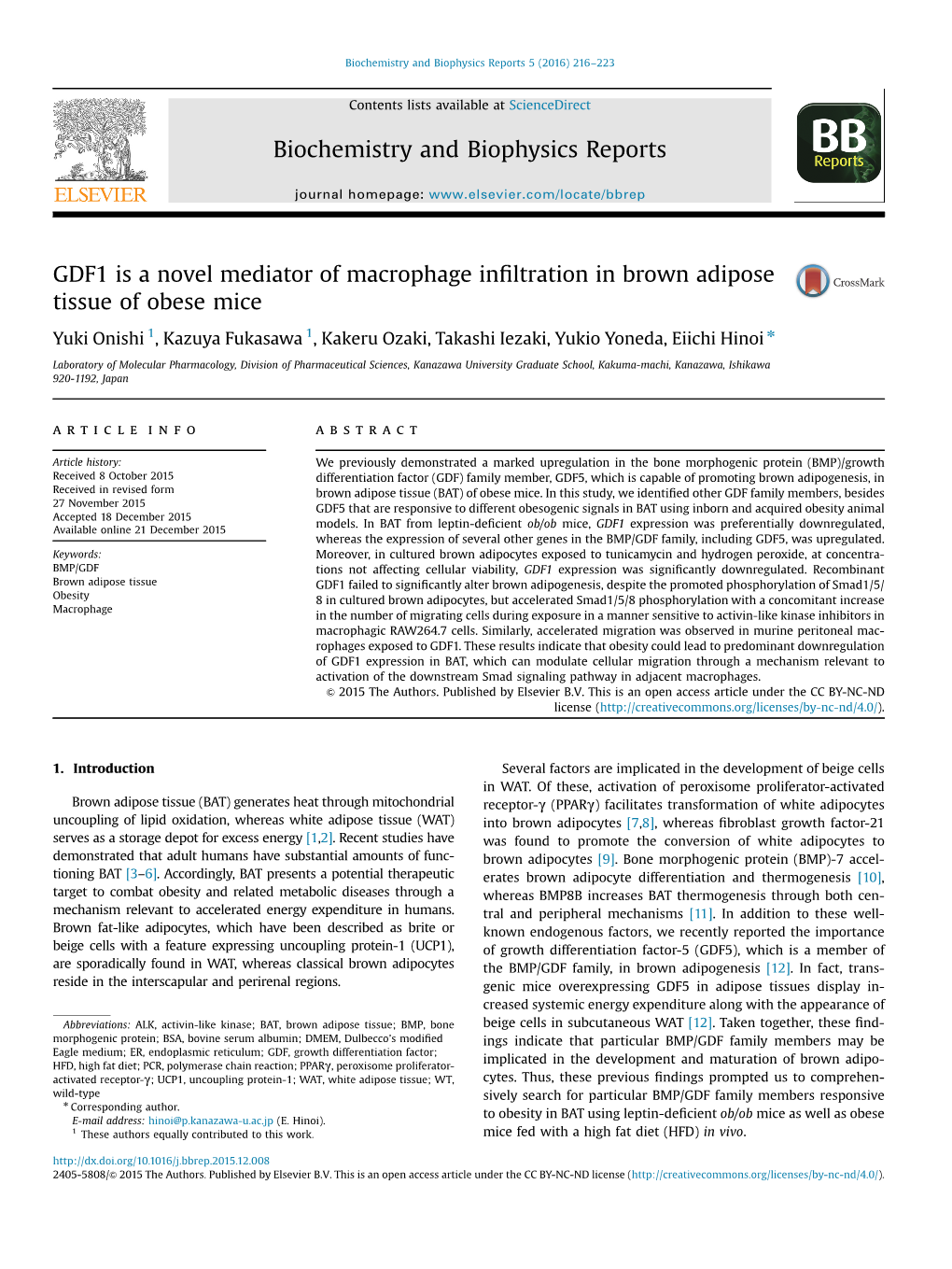 GDF1 Is a Novel Mediator of Macrophage Infiltration in Brown