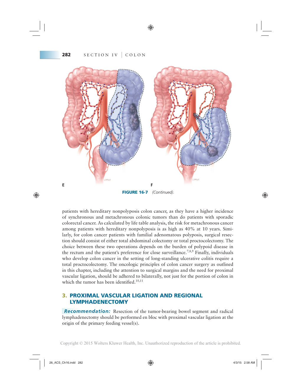 Colon Operative Standards