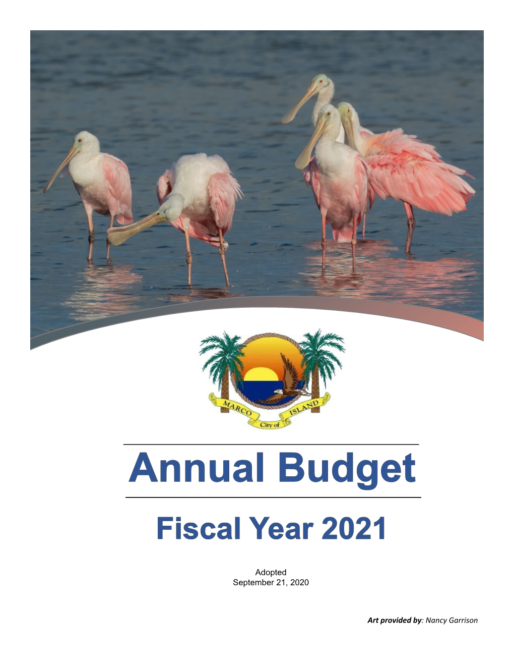 FY 2021 Adopted Budget