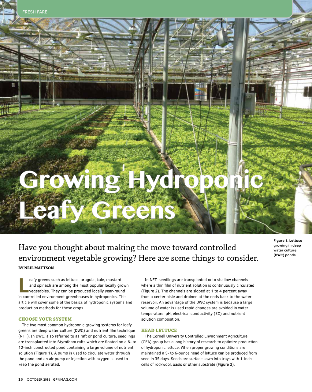 Growing Hydroponic Leafy Greens Figure 1