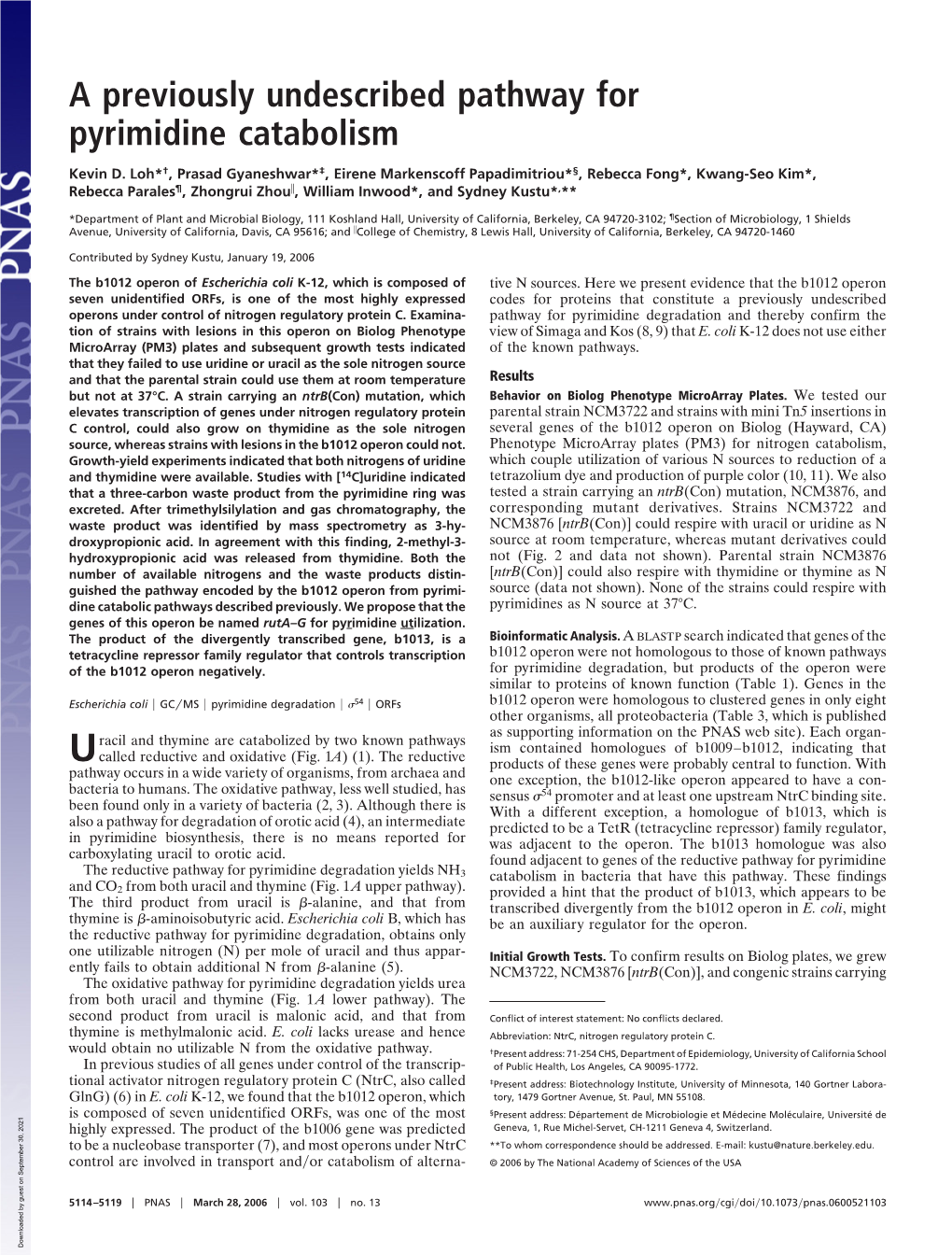 A Previously Undescribed Pathway for Pyrimidine Catabolism