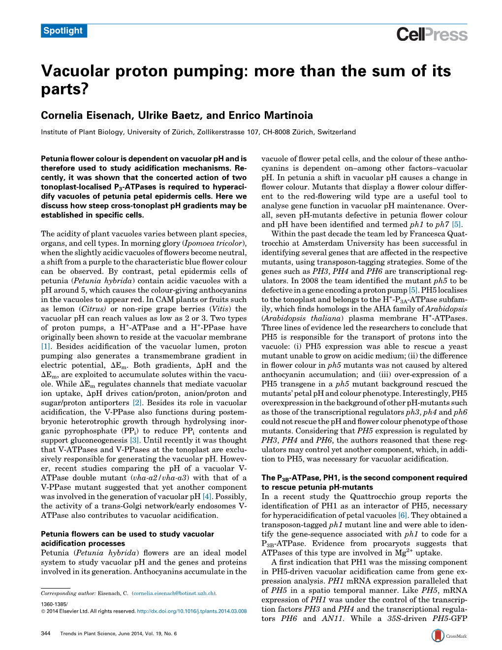 Vacuolar Proton Pumping: More Than the Sum of Its Parts?