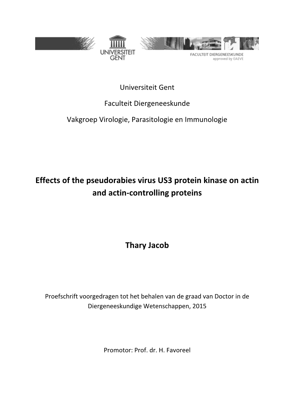 Effects of the Pseudorabies Virus US3 Protein Kinase on Actin and Actin-Controlling Proteins