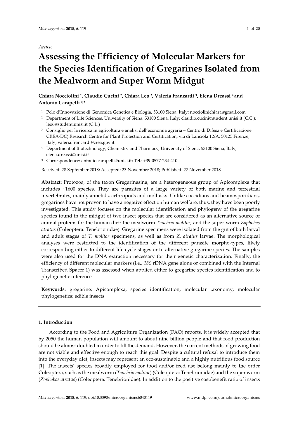 Assessing the Efficiency of Molecular Markers for the Species Identification of Gregarines Isolated from the Mealworm and Super Worm Midgut