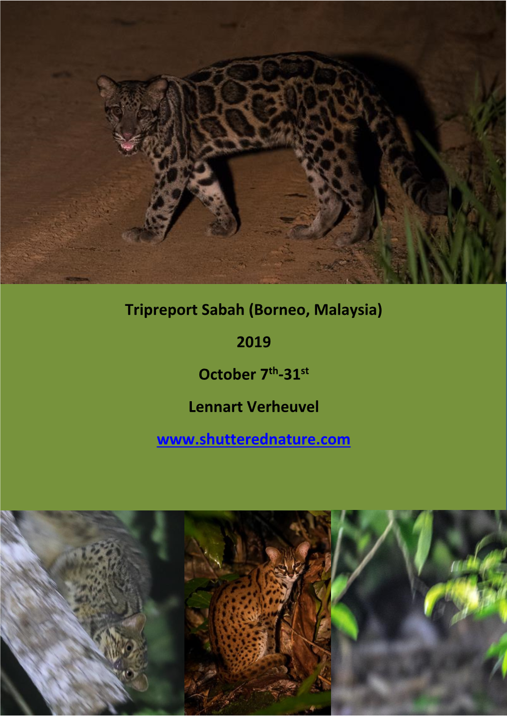 Borneo, Malaysia) 2019 October 7Th-31St Lennart Verheuvel