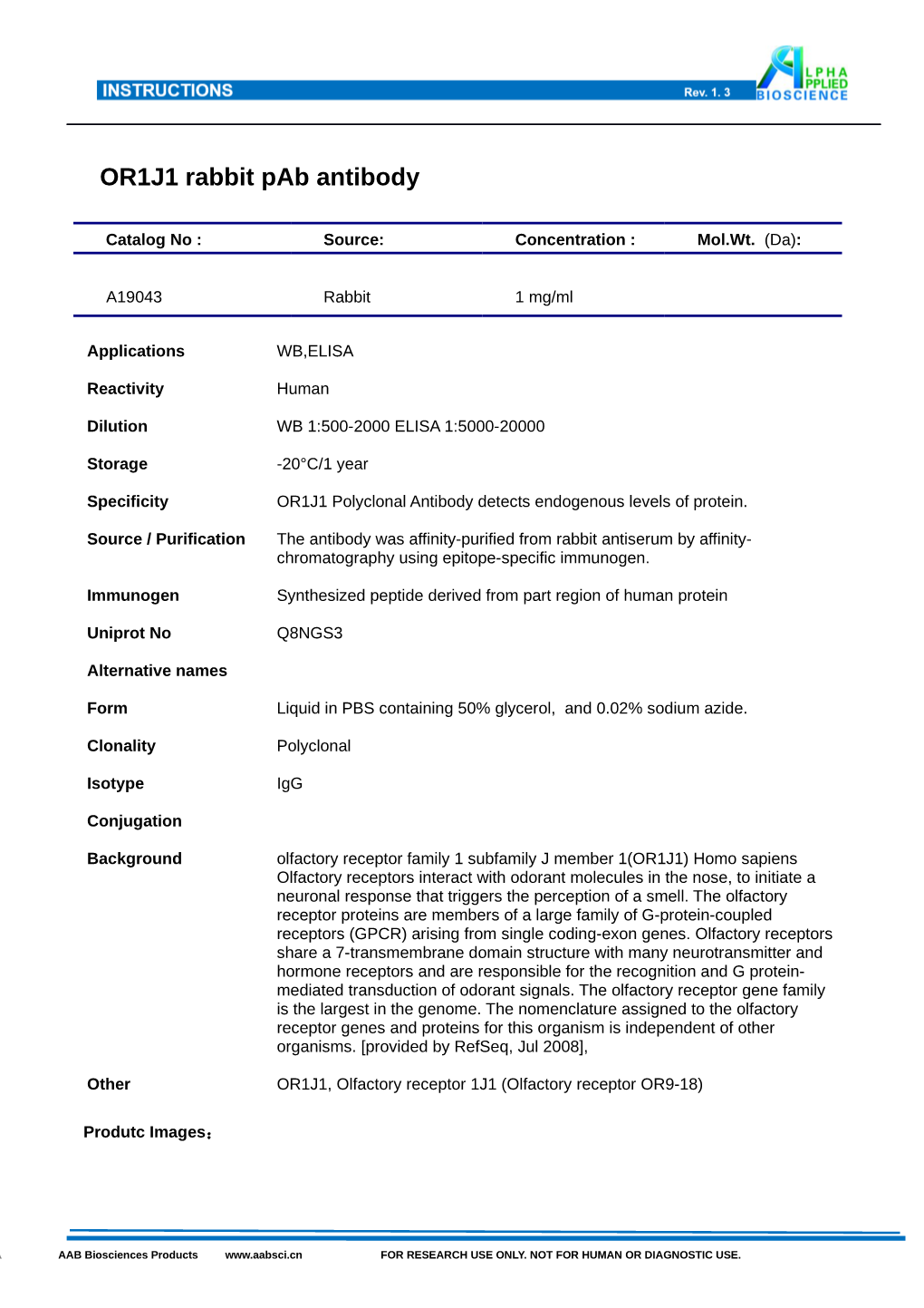 OR1J1 Rabbit Pab Antibody