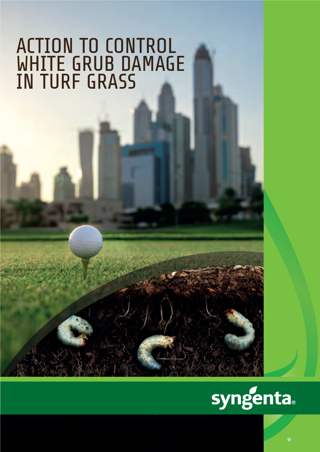 Action to Control White Grub Damage in Turf Grass