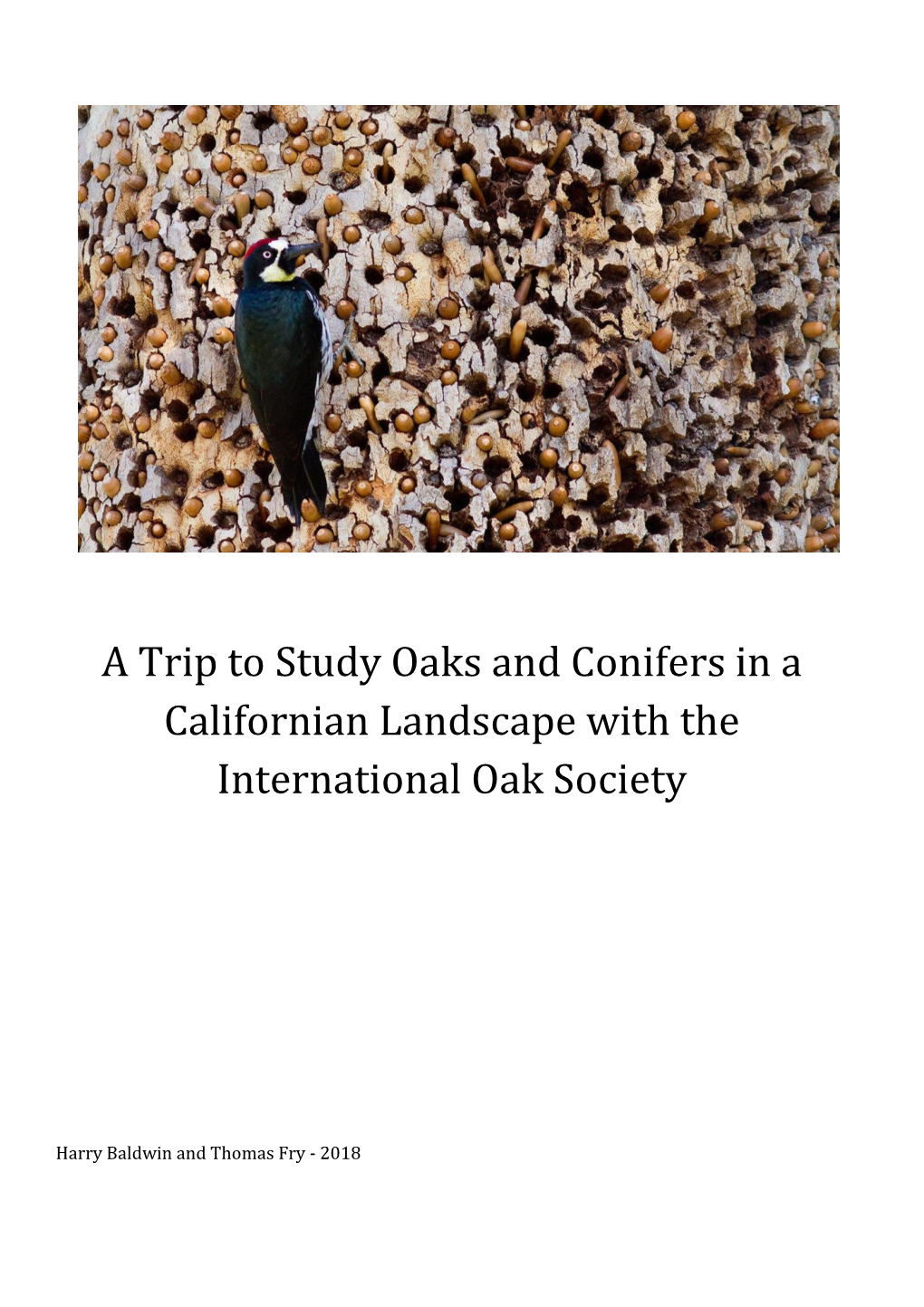 A Trip to Study Oaks and Conifers in a Californian Landscape with the International Oak Society