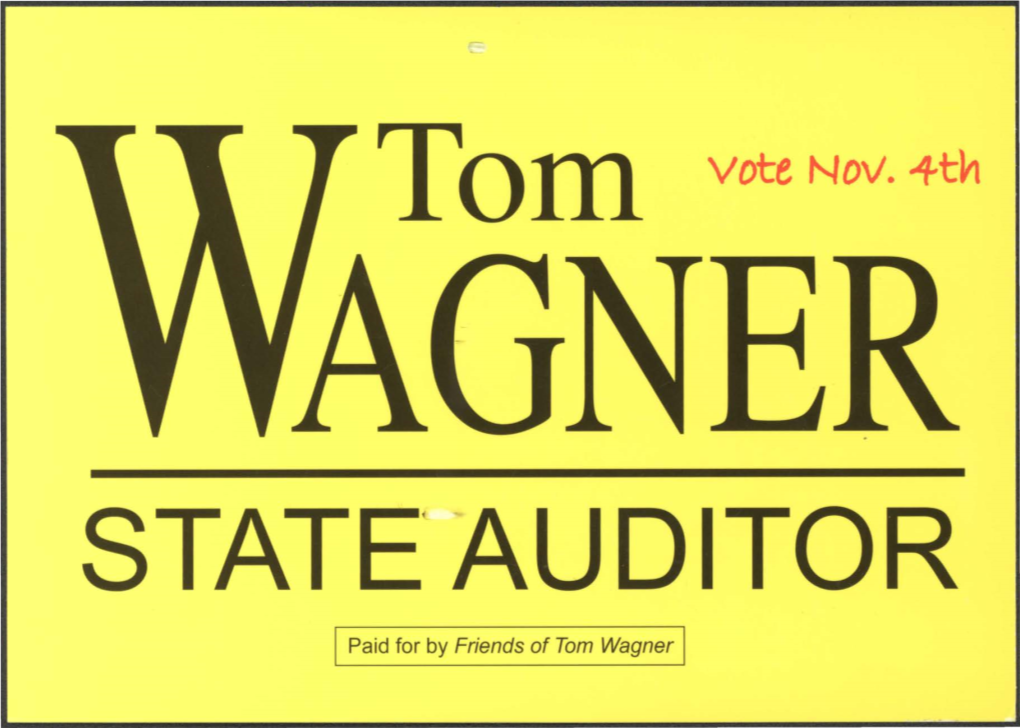 State Auditor