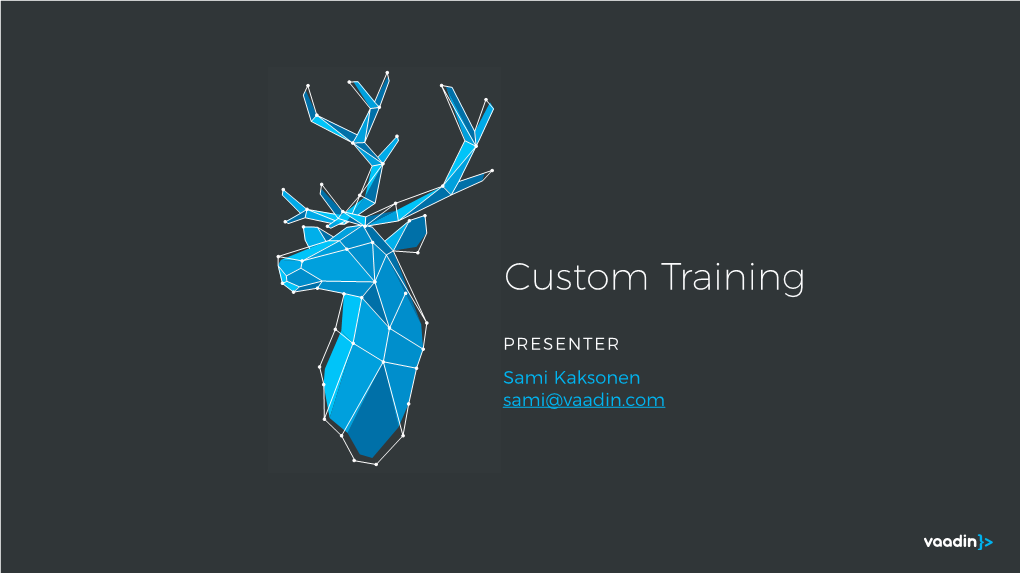 Vaadin Custom Training