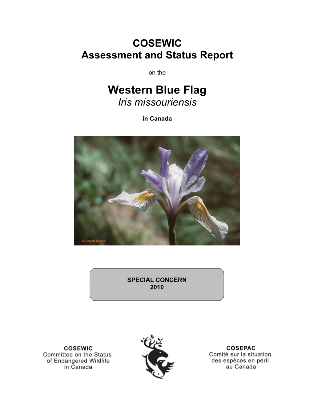 Western Blue Flag (Iris Missouriensis) in Alberta: Update 2005