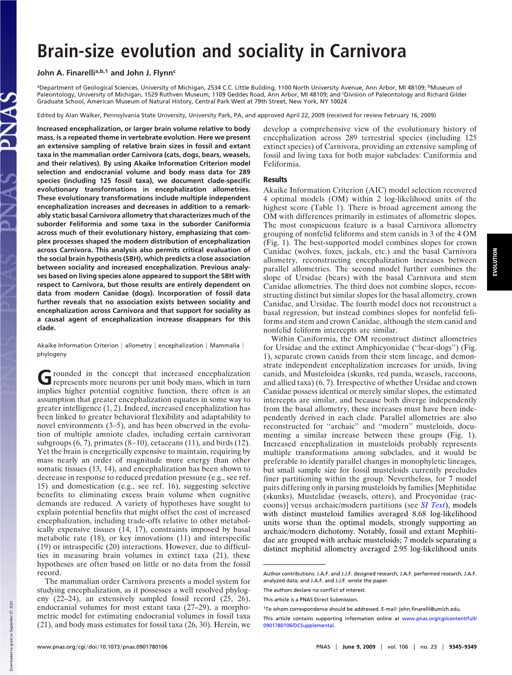 Brain-Size Evolution and Sociality in Carnivora