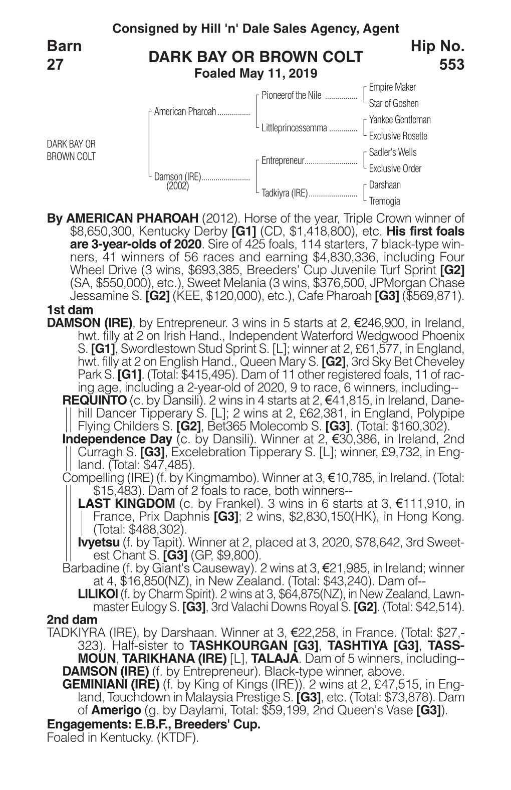 DARK BAY OR BROWN COLT Barn 27 Hip No