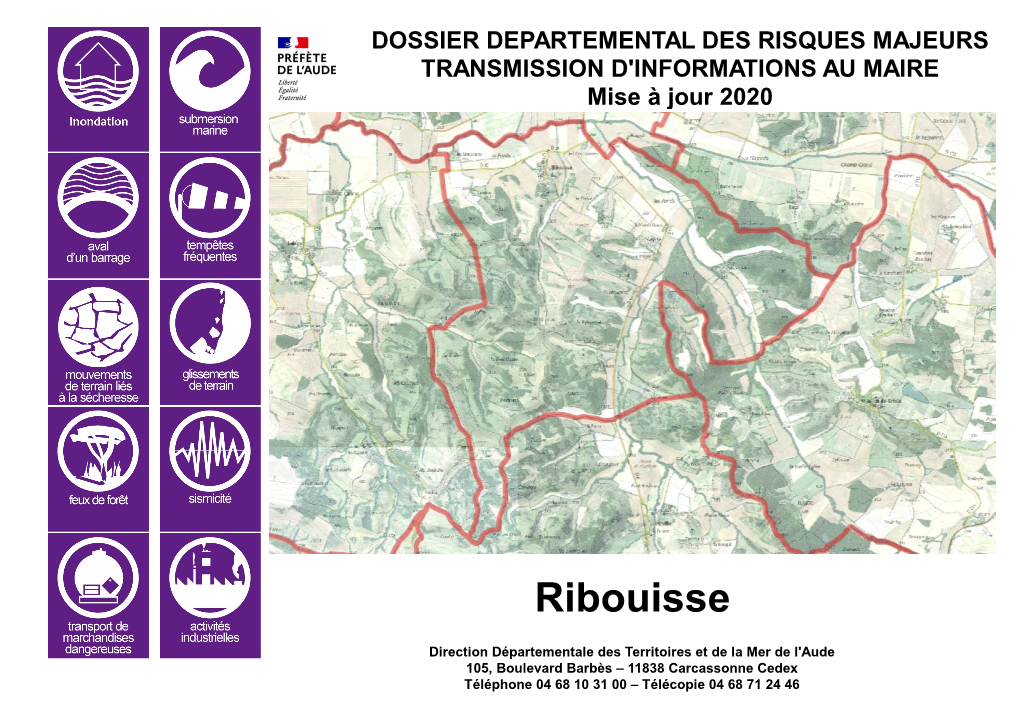 Ribouisse Tim 2020