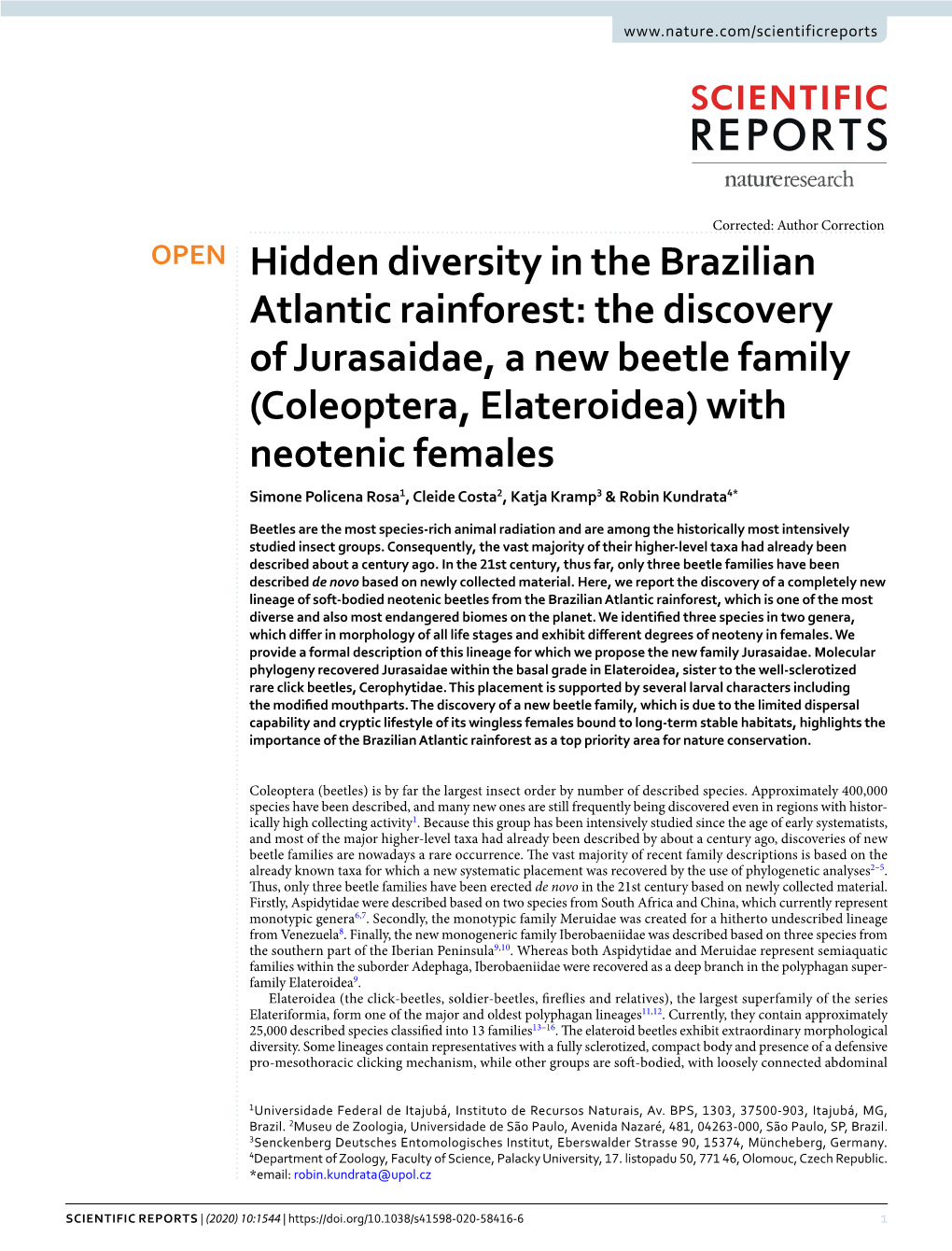 Hidden Diversity in the Brazilian Atlantic Rainforest