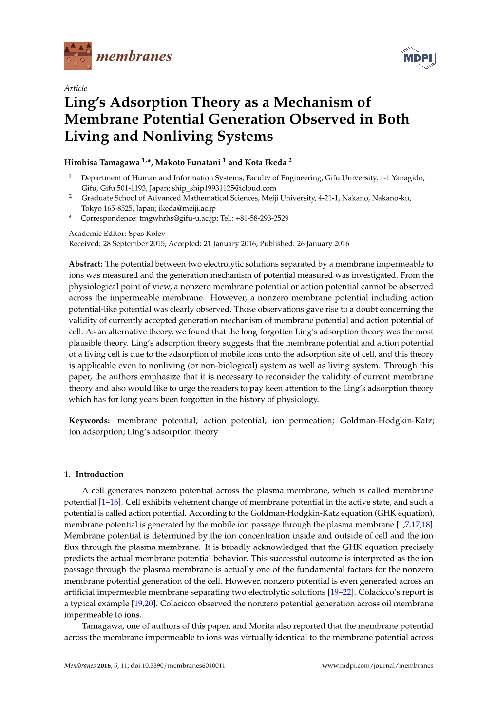 Membrane Potential Generation by the Ion Adsorption