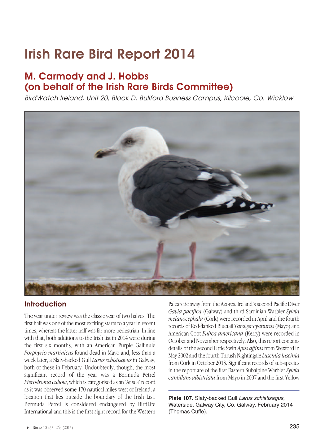 Irish Rare Bird Report 2014