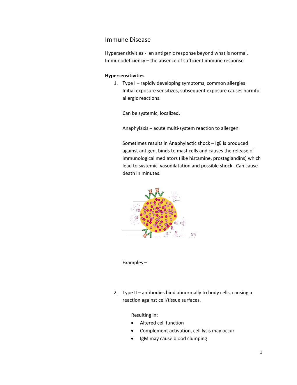 Hypersensitivities - an Antigenic Response Beyond What Is Normal