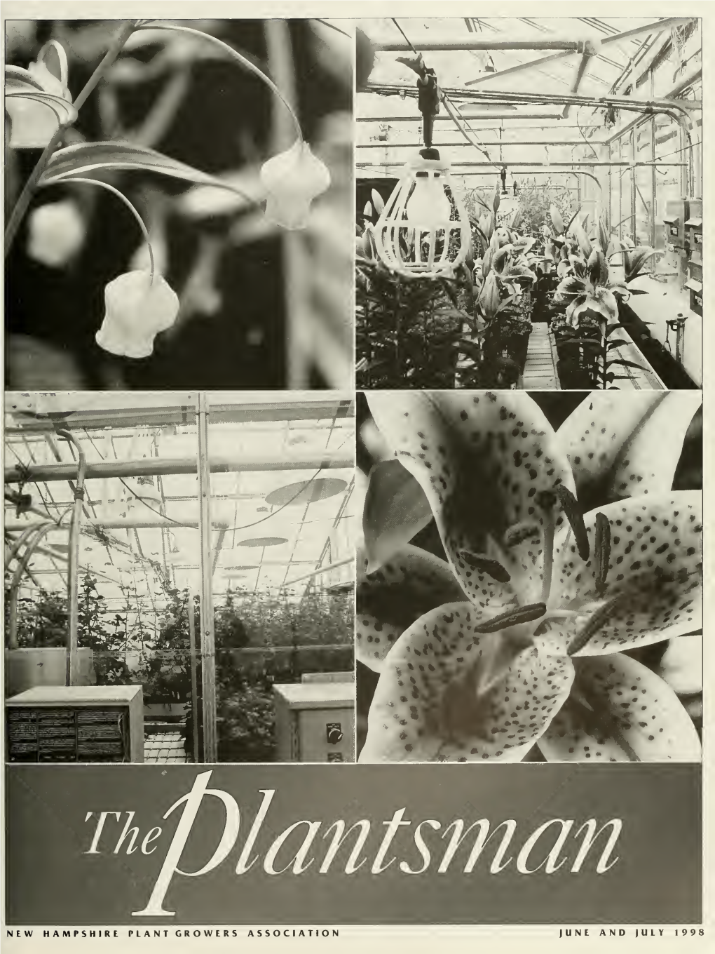 Plantsman, Jun/Jul 1998