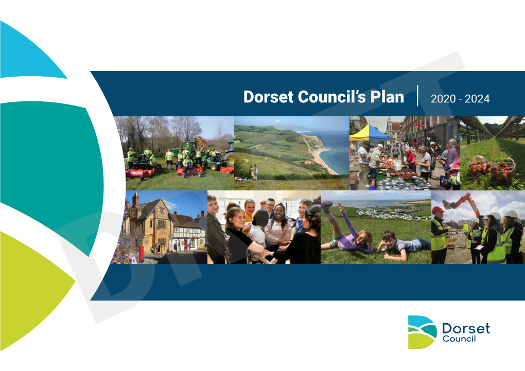 Dorset Council's Plan 2020