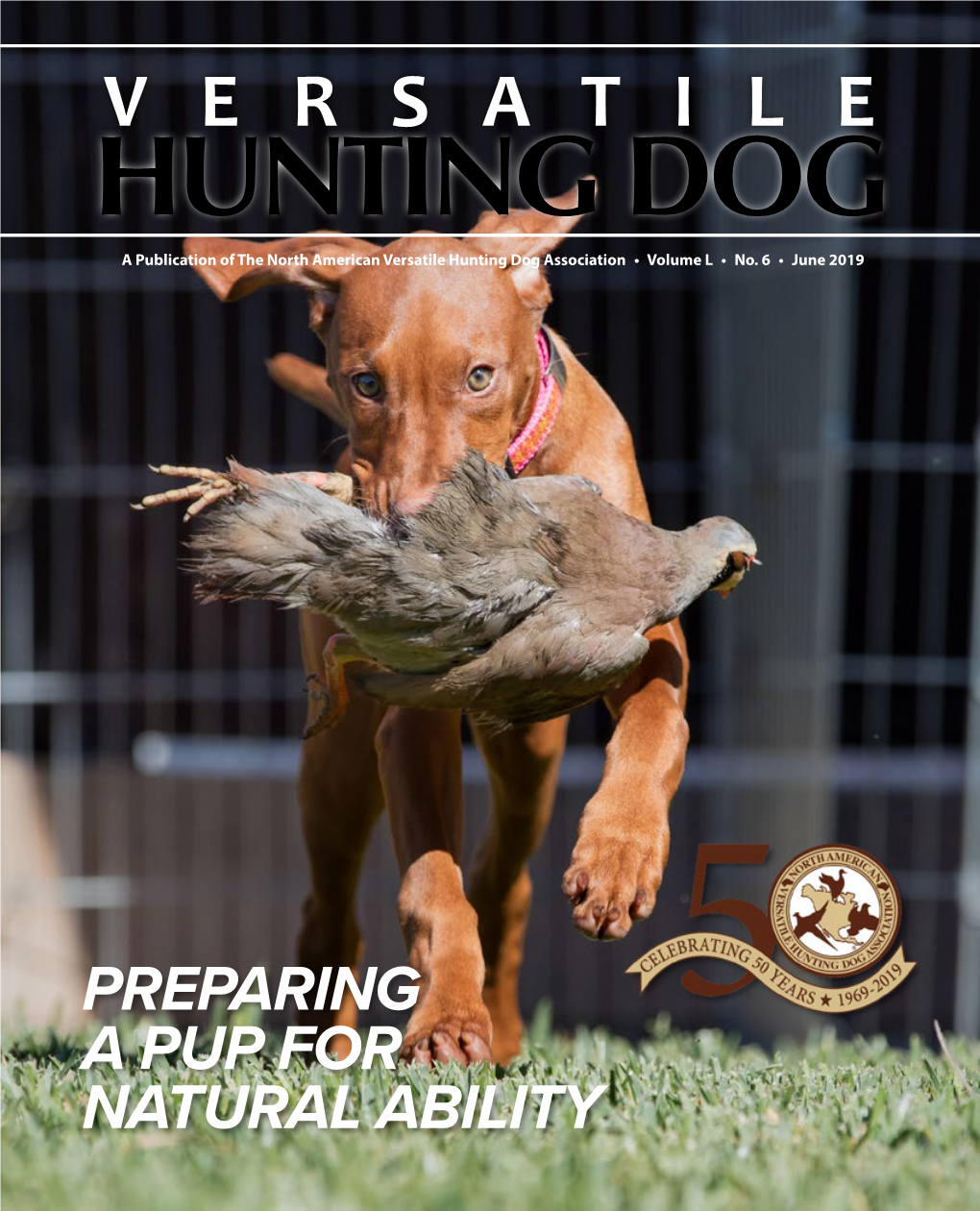 VERSATILE HUNTING DOG a Publication of the North American Versatile Hunting Dog Association • Volume L • No