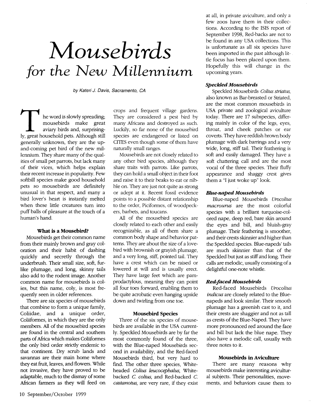 Mousebirds Tle Focus Has Been Placed Upon Them