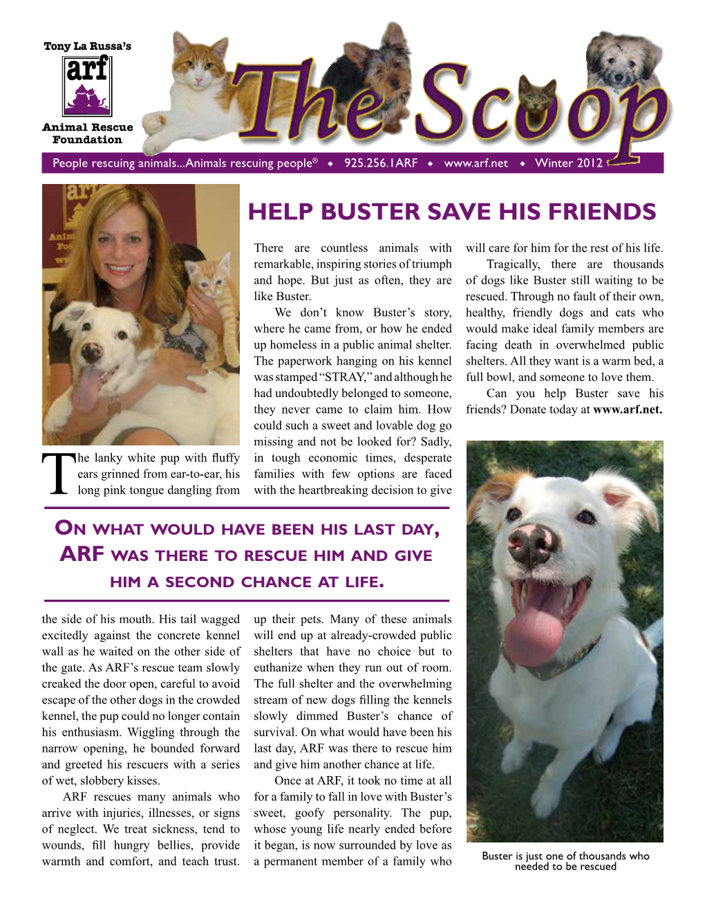 Help Buster Save His Friends