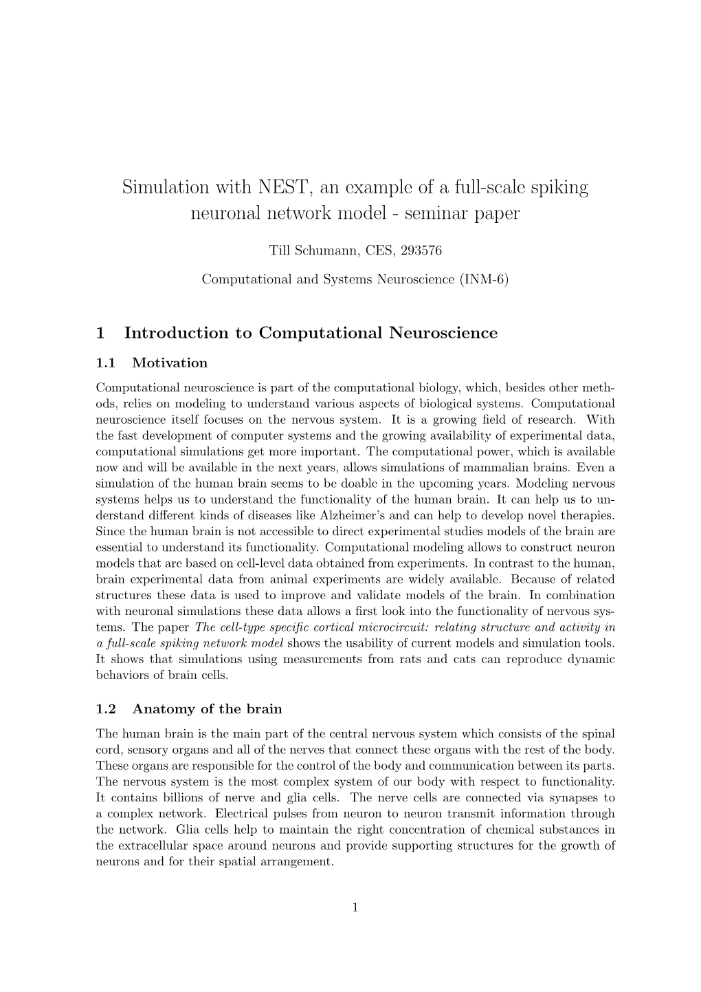 Simulation with NEST, an Example of a Full-Scale Spiking Neuronal Network Model - Seminar Paper