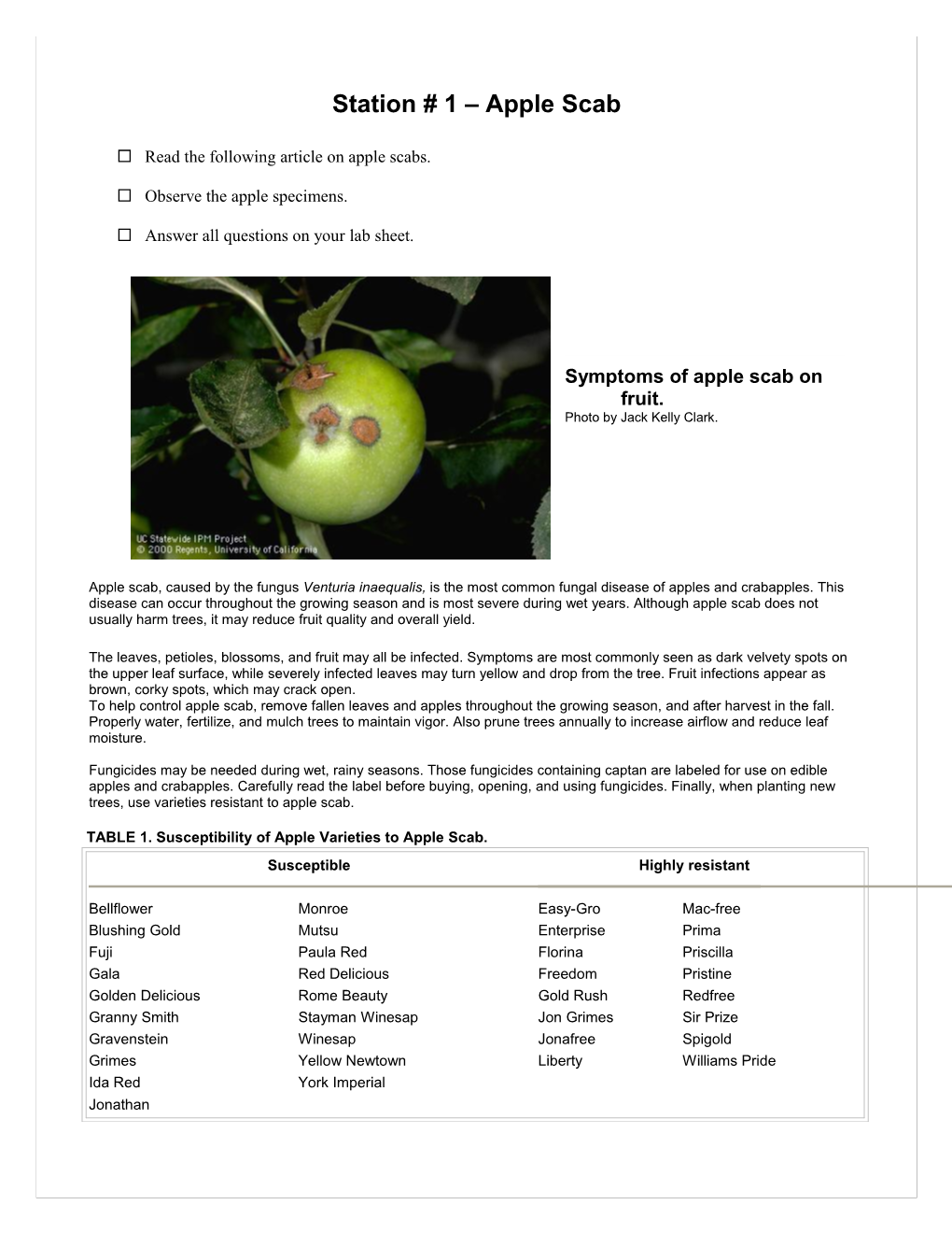 Symptoms of Apple Scab on Fruit - DocsLib