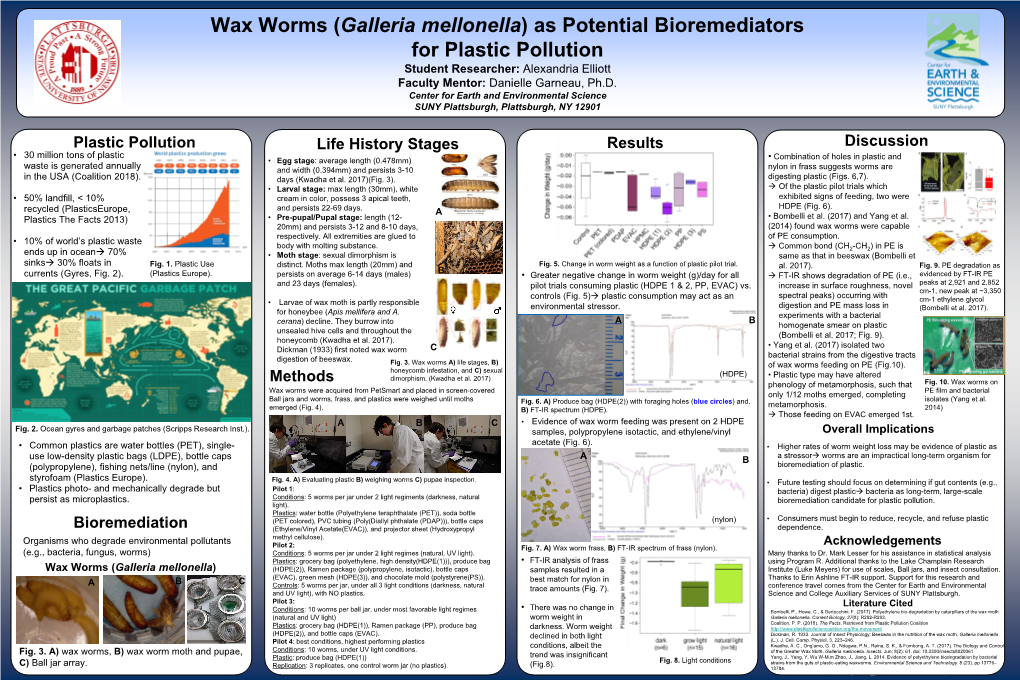 Wax Worms (Galleria Mellonella) As Potential Bioremediators for Plastic Pollution Student Researcher: Alexandria Elliott Faculty Mentor: Danielle Garneau, Ph.D