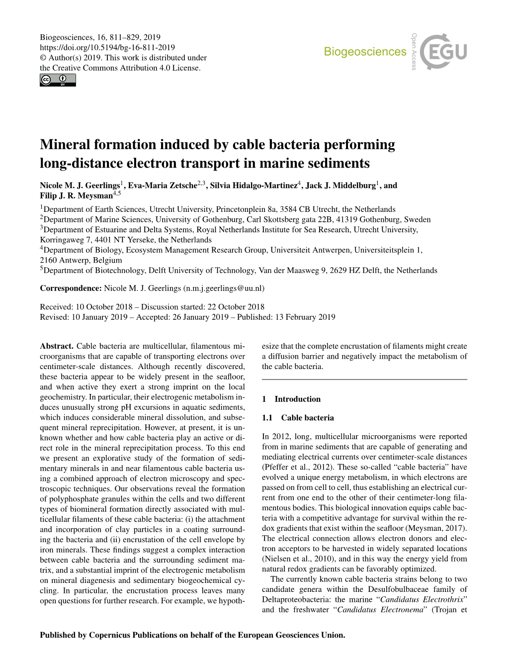 Mineral Formation Induced by Cable Bacteria Performing Long-Distance Electron Transport in Marine Sediments