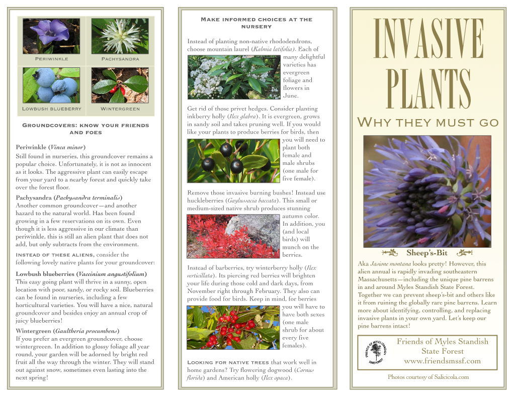 Invasive Plants Why They Must Go