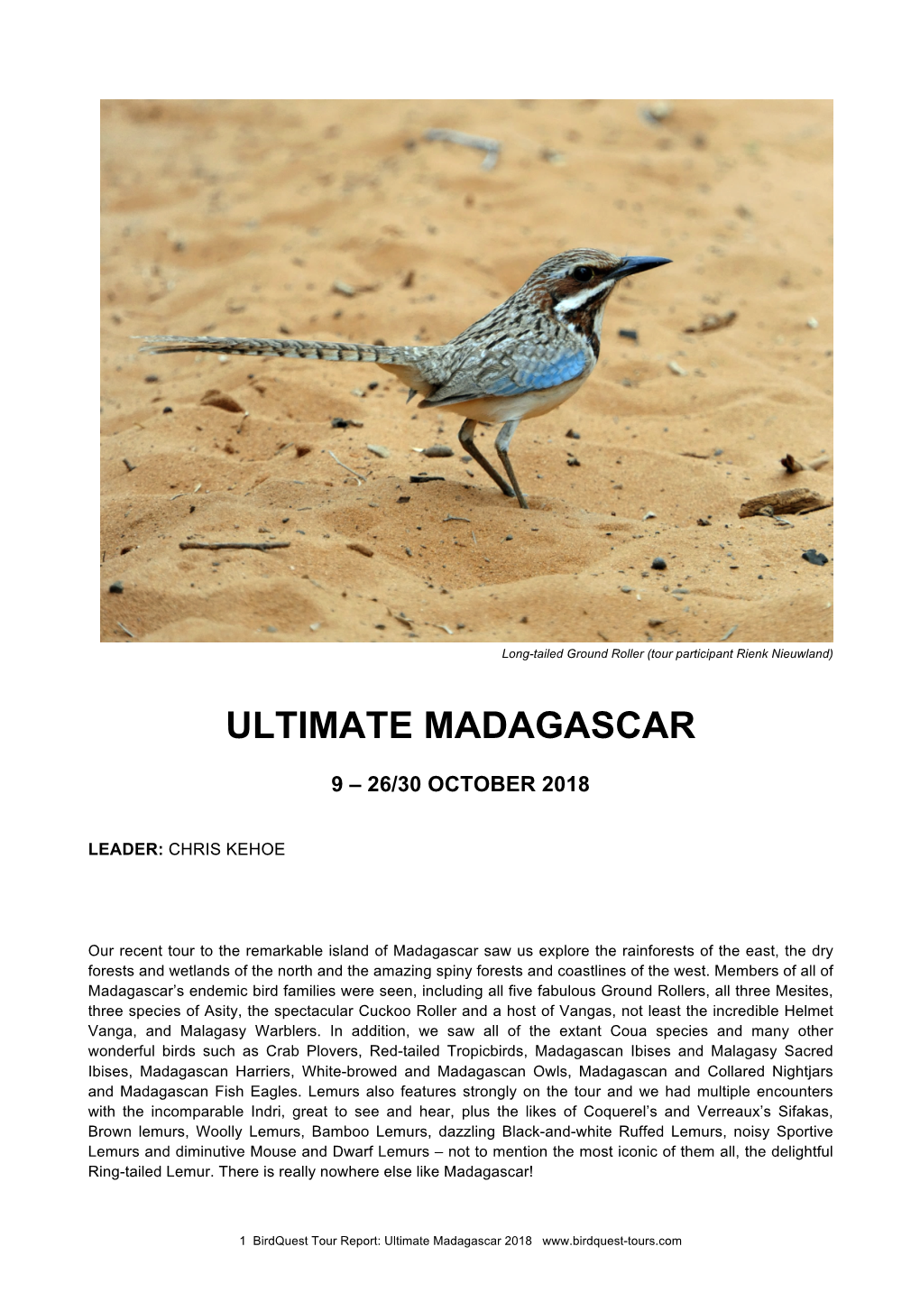 Ultimate Madagascar