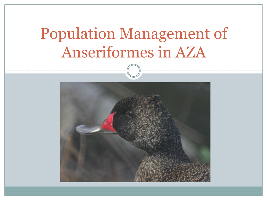 Population Management of Anseriformes in AZA Keith Lovett