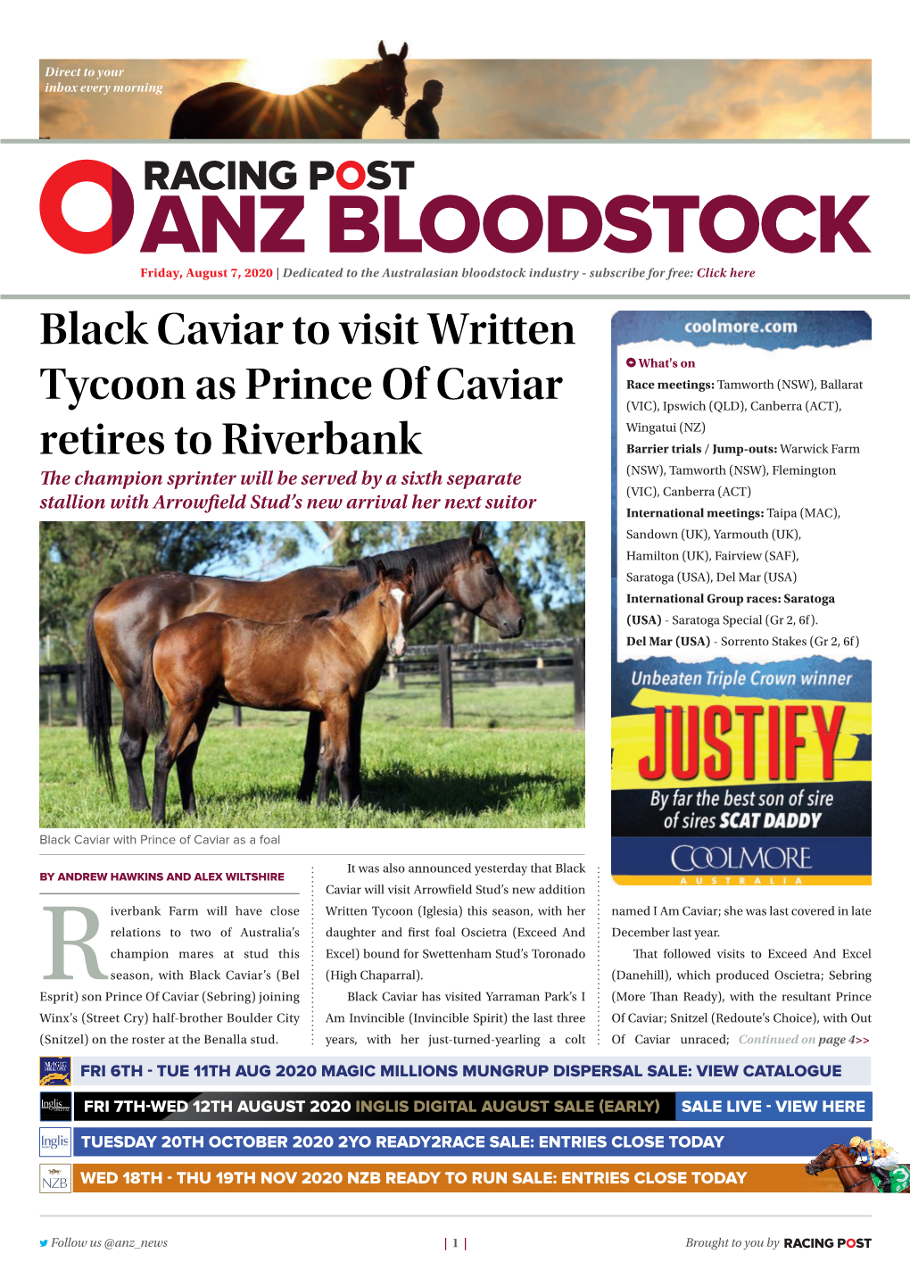 Black Caviar to Visit Written Tycoon As Prince of Caviar Retires to Riverbank | 2 | Friday, August 7, 2020