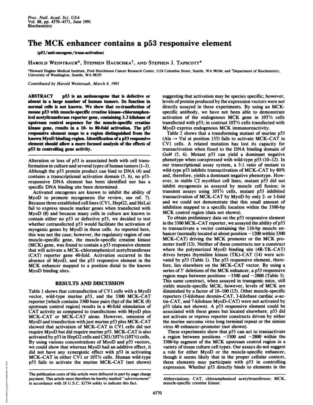 The MCK Enhancer Contains a P53 Responsive Element (P53/Anti-Oncogene/Trans-Activation) HAROLD WEINTRAUB*, STEPHEN Hauschkat, and STEPHEN J