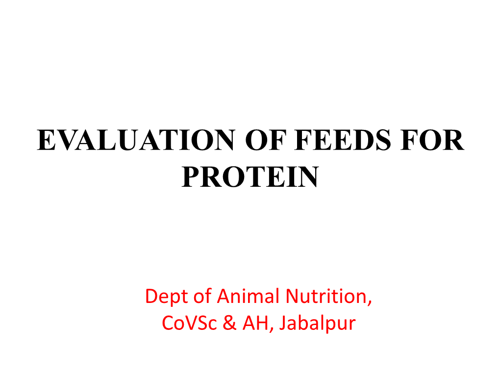 Evaluation of Feeds for Protein