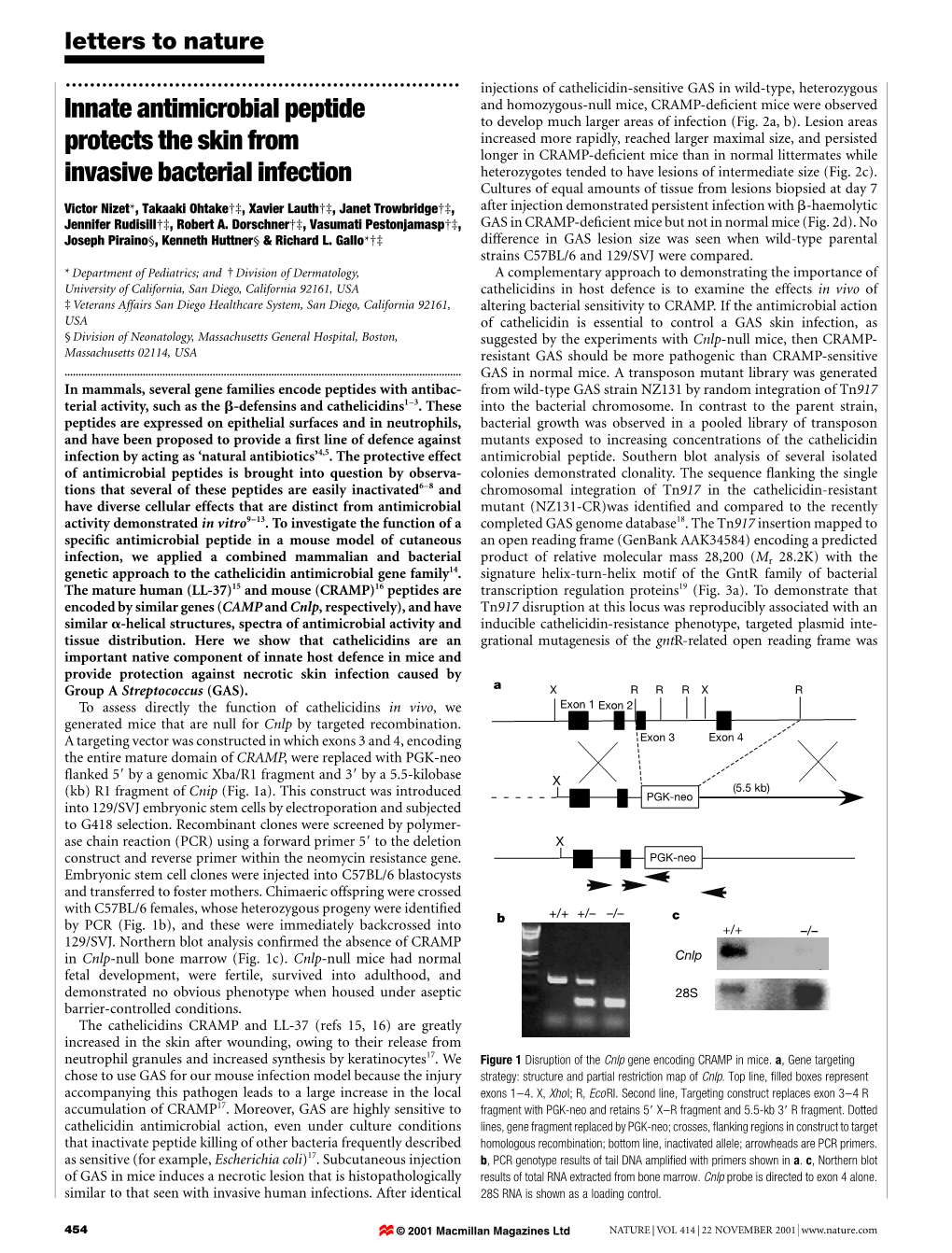 Innate Antimicrobial Peptide Protects the Skin from Invasive Bacterial Infection